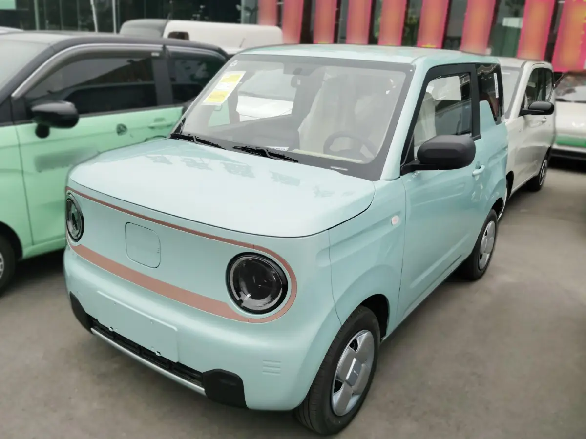 2024 Geely Panda BEV 17.03KWH