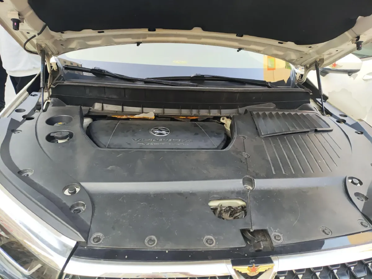 2020 Venucia Star 1.5T 190HP L4 7DCT,autocango,china used car exporter,china ev exporter,chinese used car exporter,chinese used ev exporter