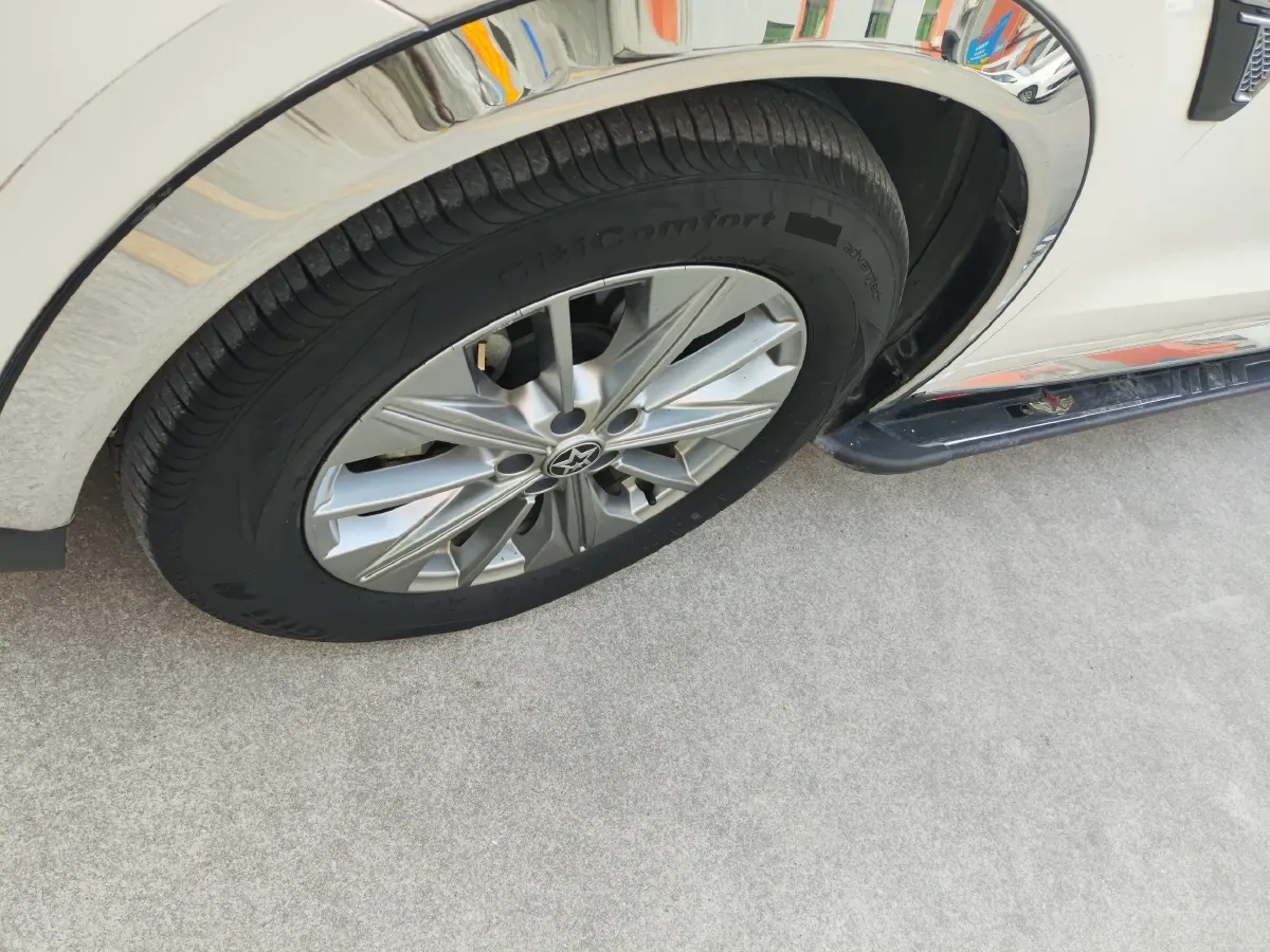 2020 Venucia Star 1.5T 190HP L4 7DCT,autocango,china used car exporter,china ev exporter,chinese used car exporter,chinese used ev exporter