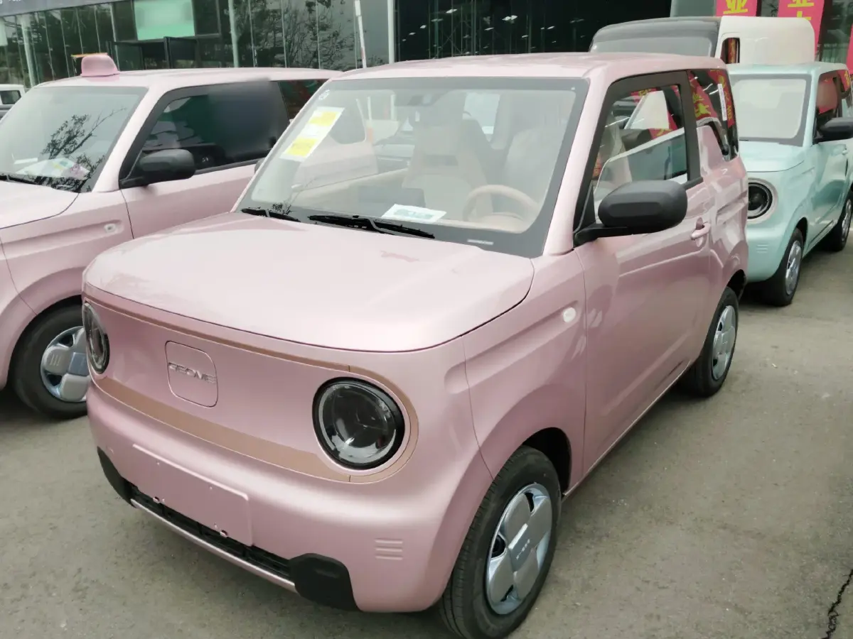 2024 Geely Panda BEV 17.03KWH