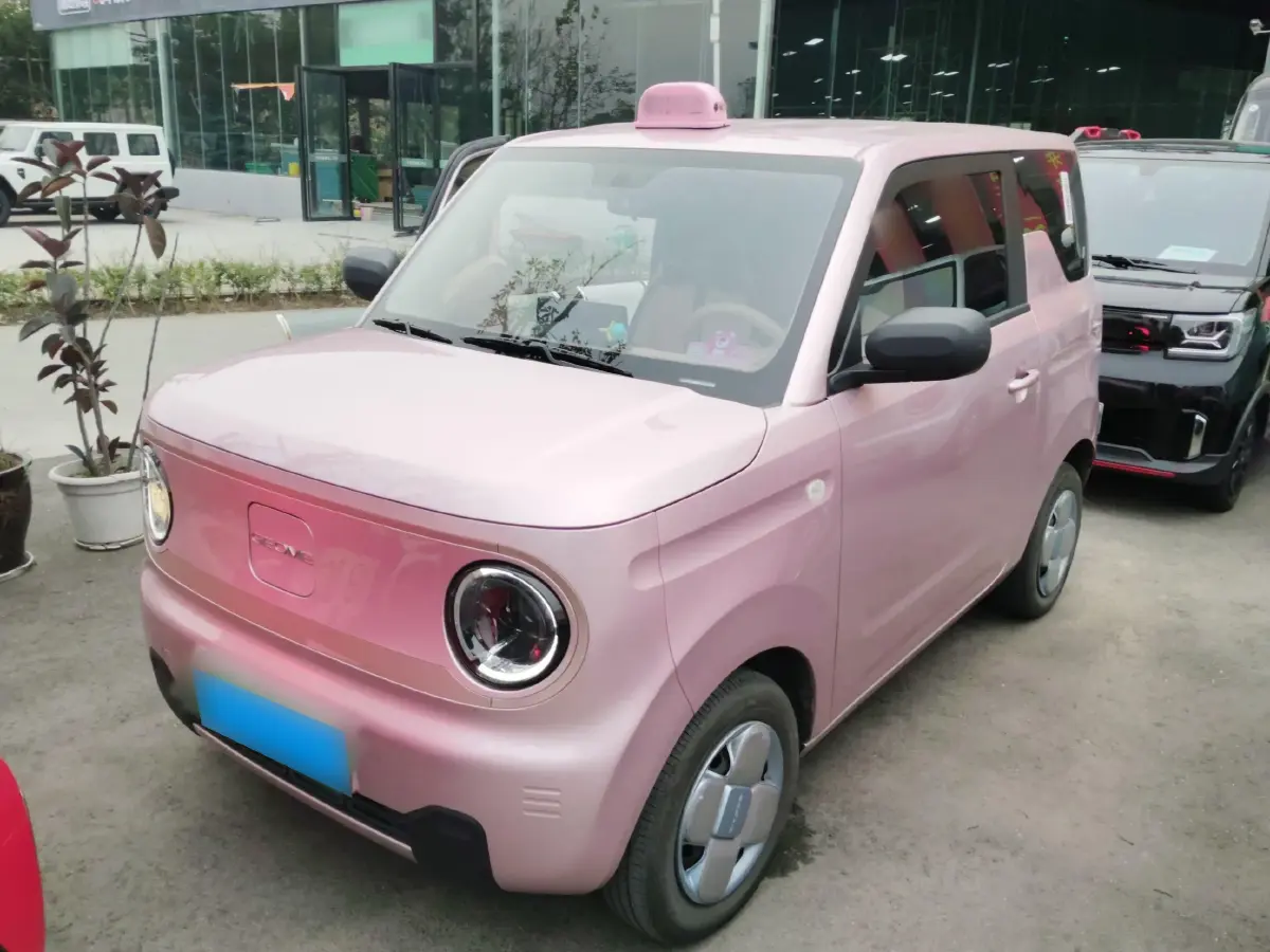 2023 Geely Panda BEV 17.03KWH