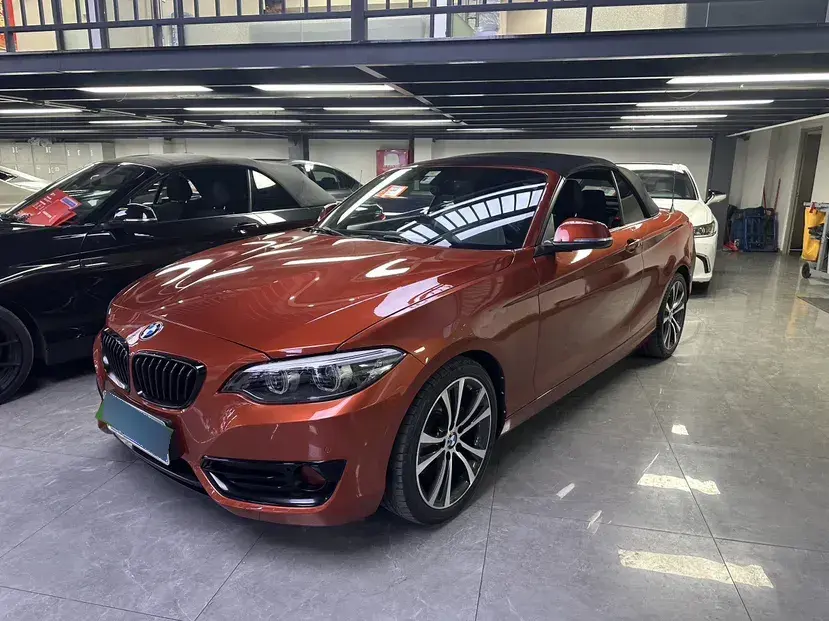 2019 BMW 2 Series 2.0T 184HP L4 8AT