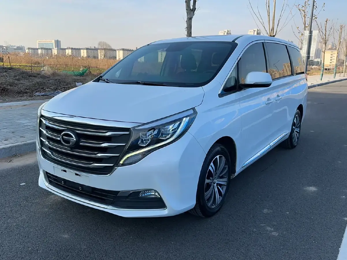 2020 GAC Trumpchi M8 2.0T 252HP L4 8AT