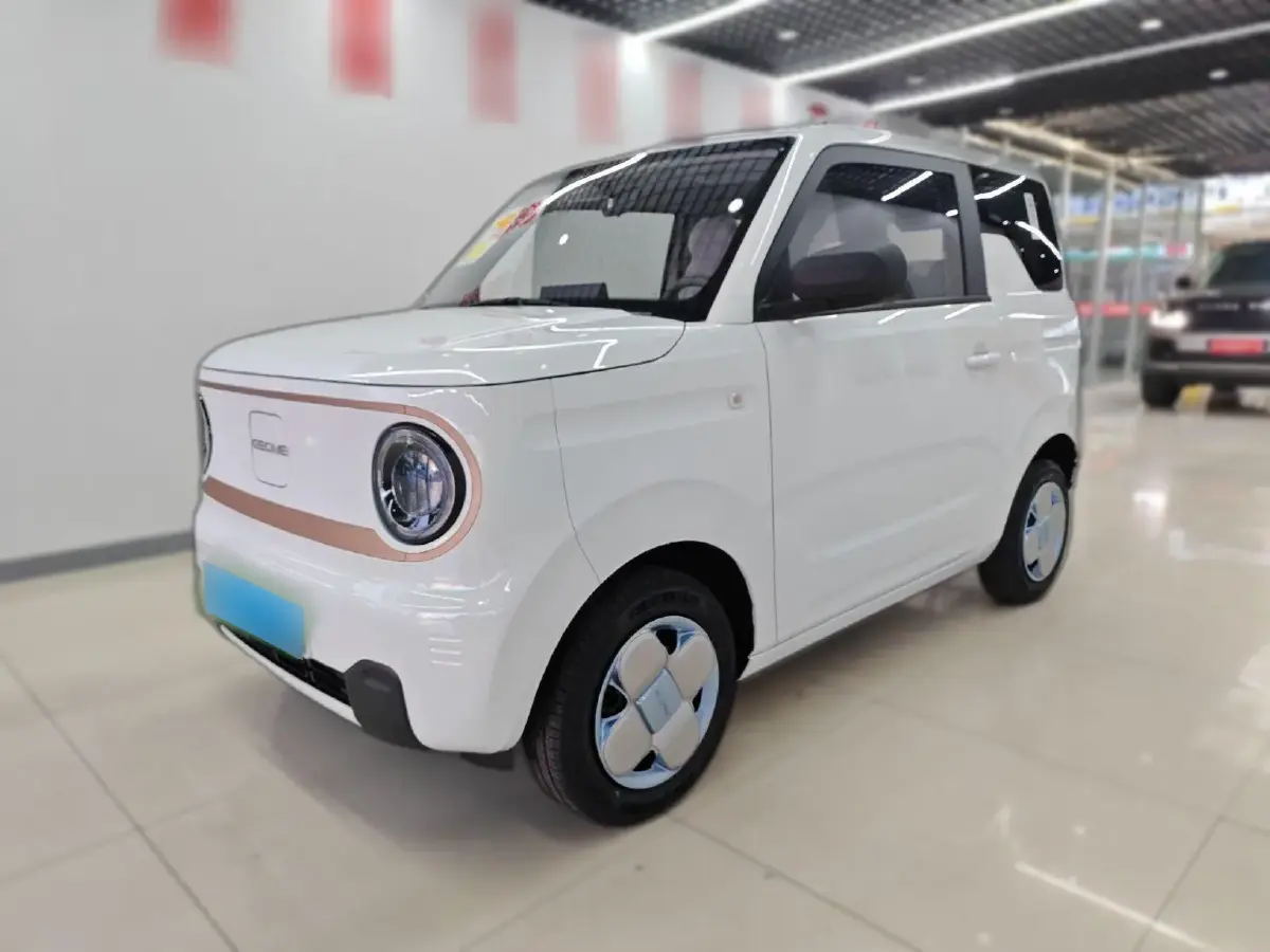 2023 Geely Panda BEV 17.03KWH