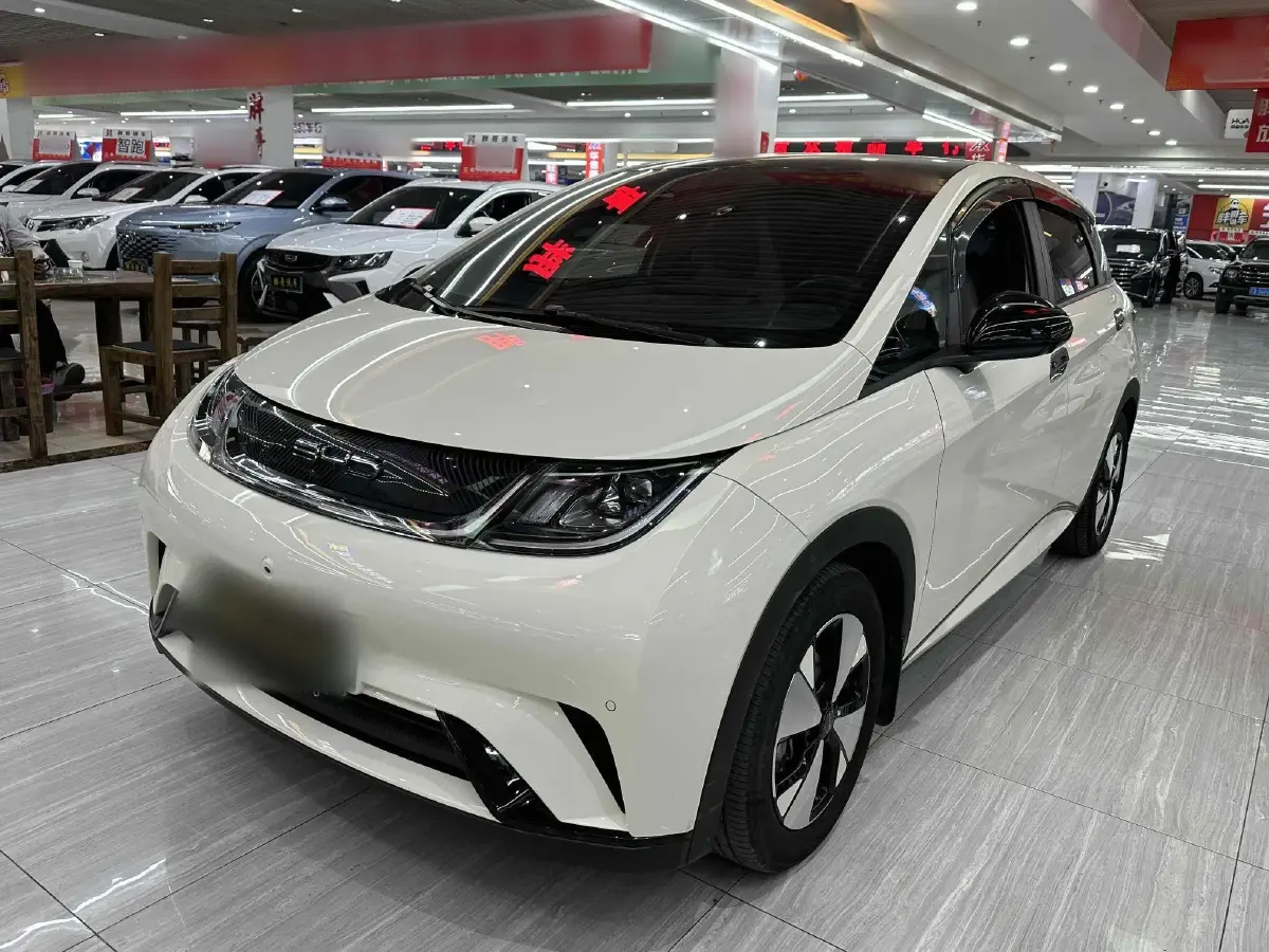 2023 BYD Dolphin BEV 44.928KWH