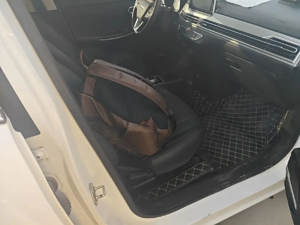 2022 DaYun YueHu BEV 30.66KWH,autocango,china used car exporter,china ev exporter,chinese used car exporter,chinese used ev exporter