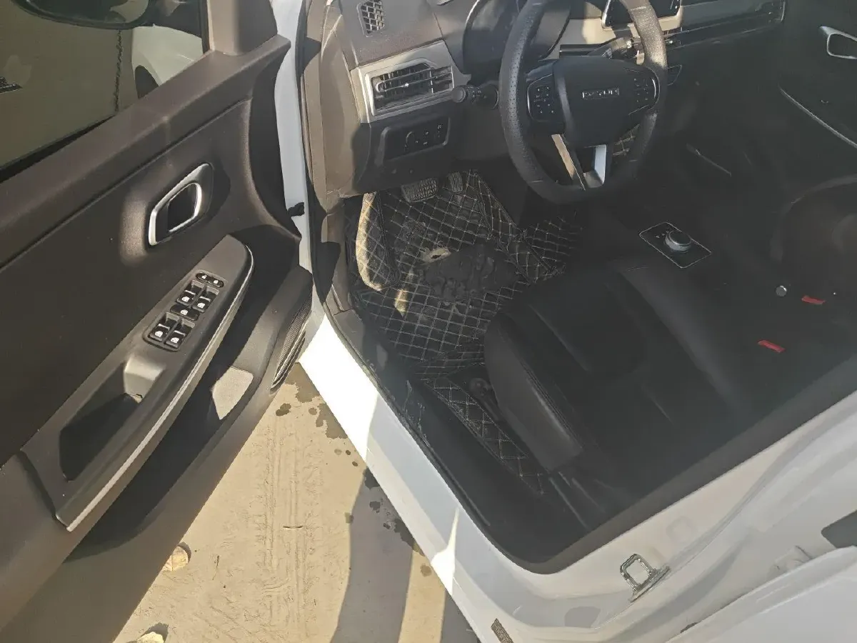 2022 DaYun YueHu BEV 30.66KWH,autocango,china used car exporter,china ev exporter,chinese used car exporter,chinese used ev exporter