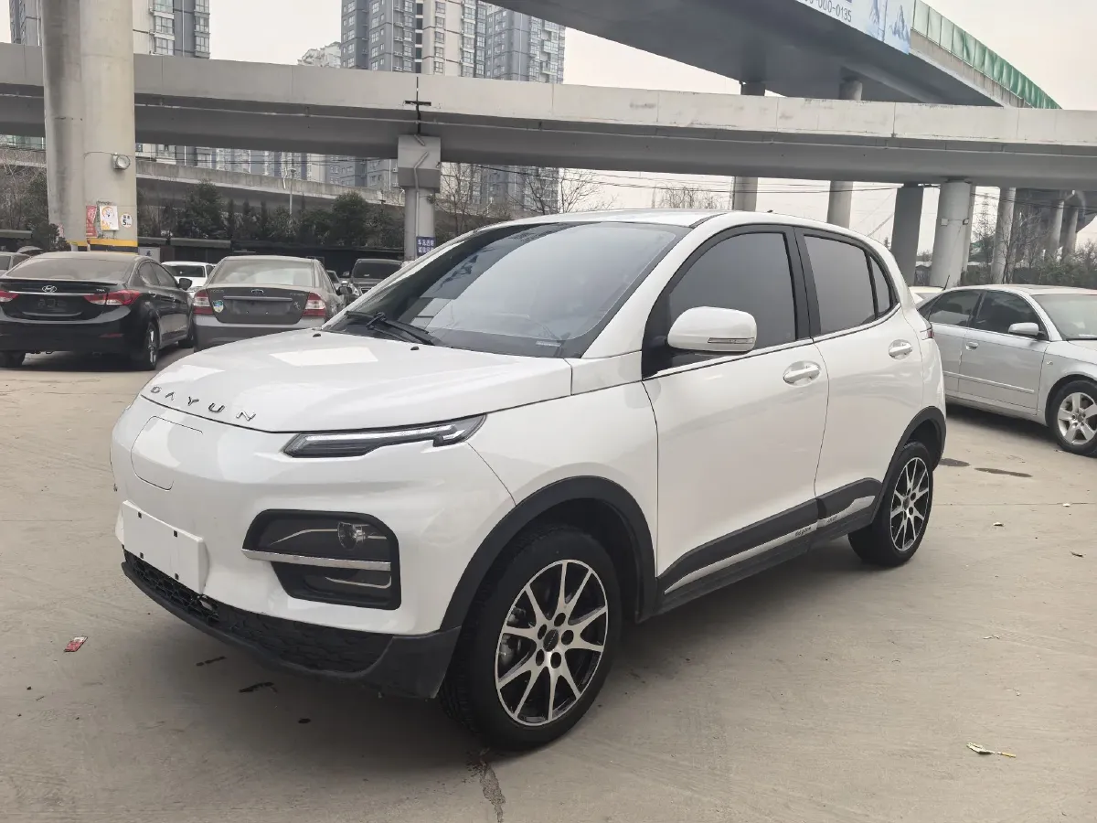 2022 DaYun YueHu BEV 30.66KWH,autocango,china used car exporter,china ev exporter,chinese used car exporter,chinese used ev exporter