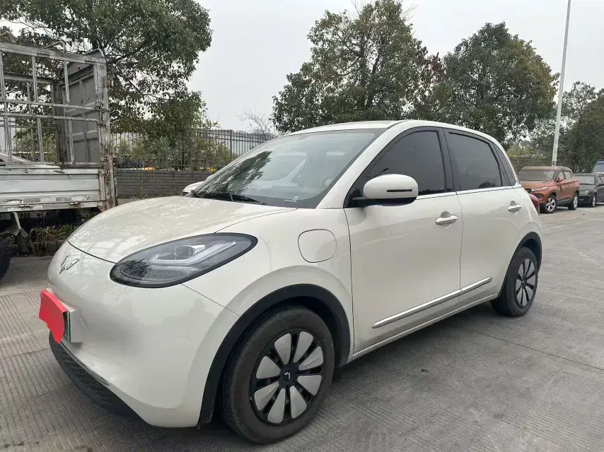 2024 WuLing BinGuo BEV 31.9KWH