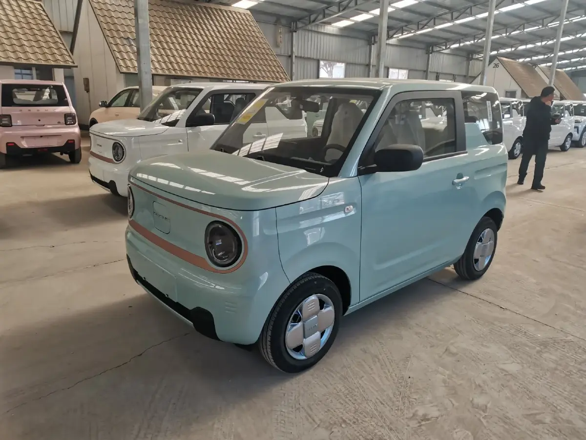 2024 Geely Panda BEV 17.03KWH