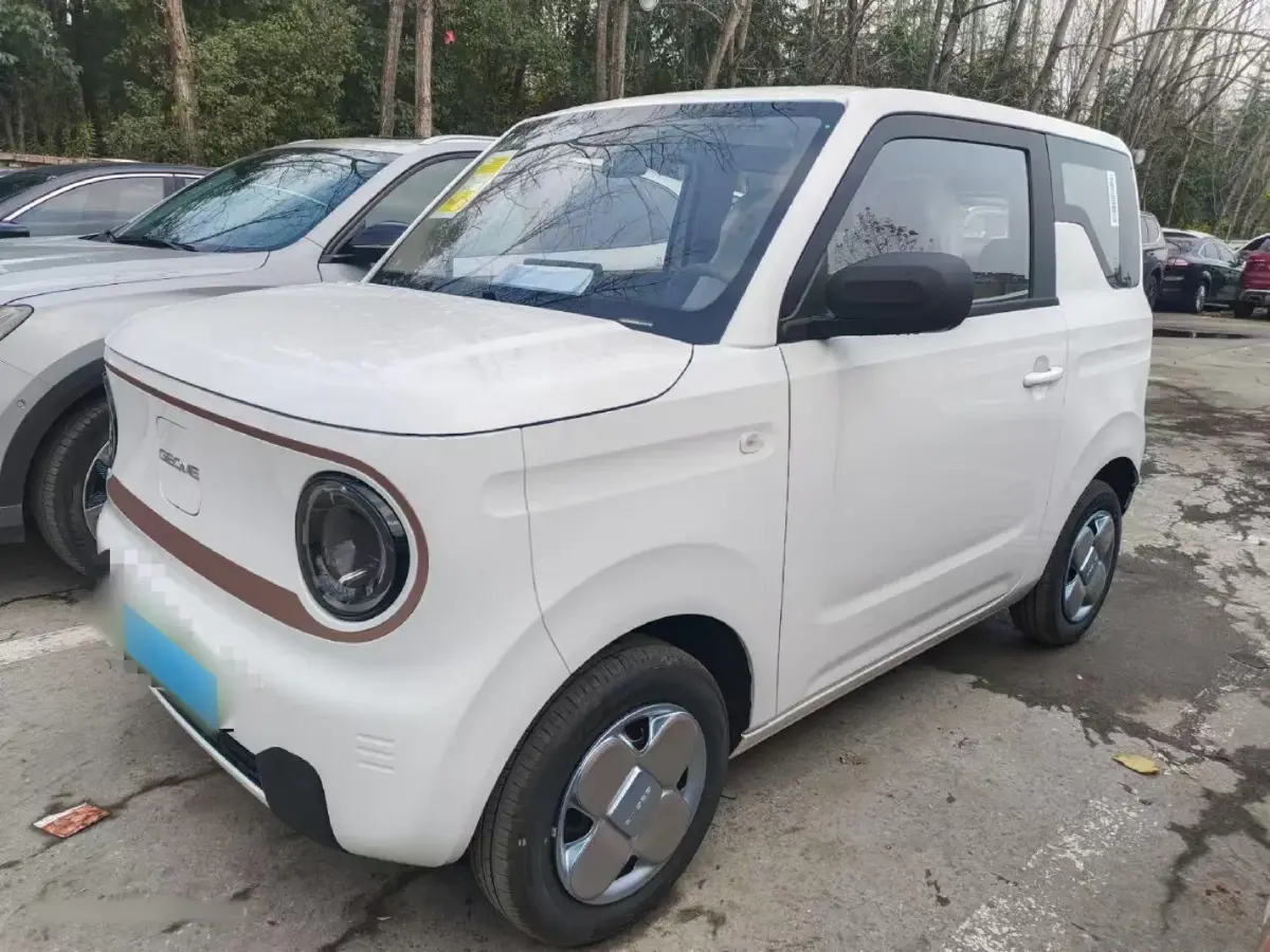 2024 Geely Panda BEV 17.03KWH