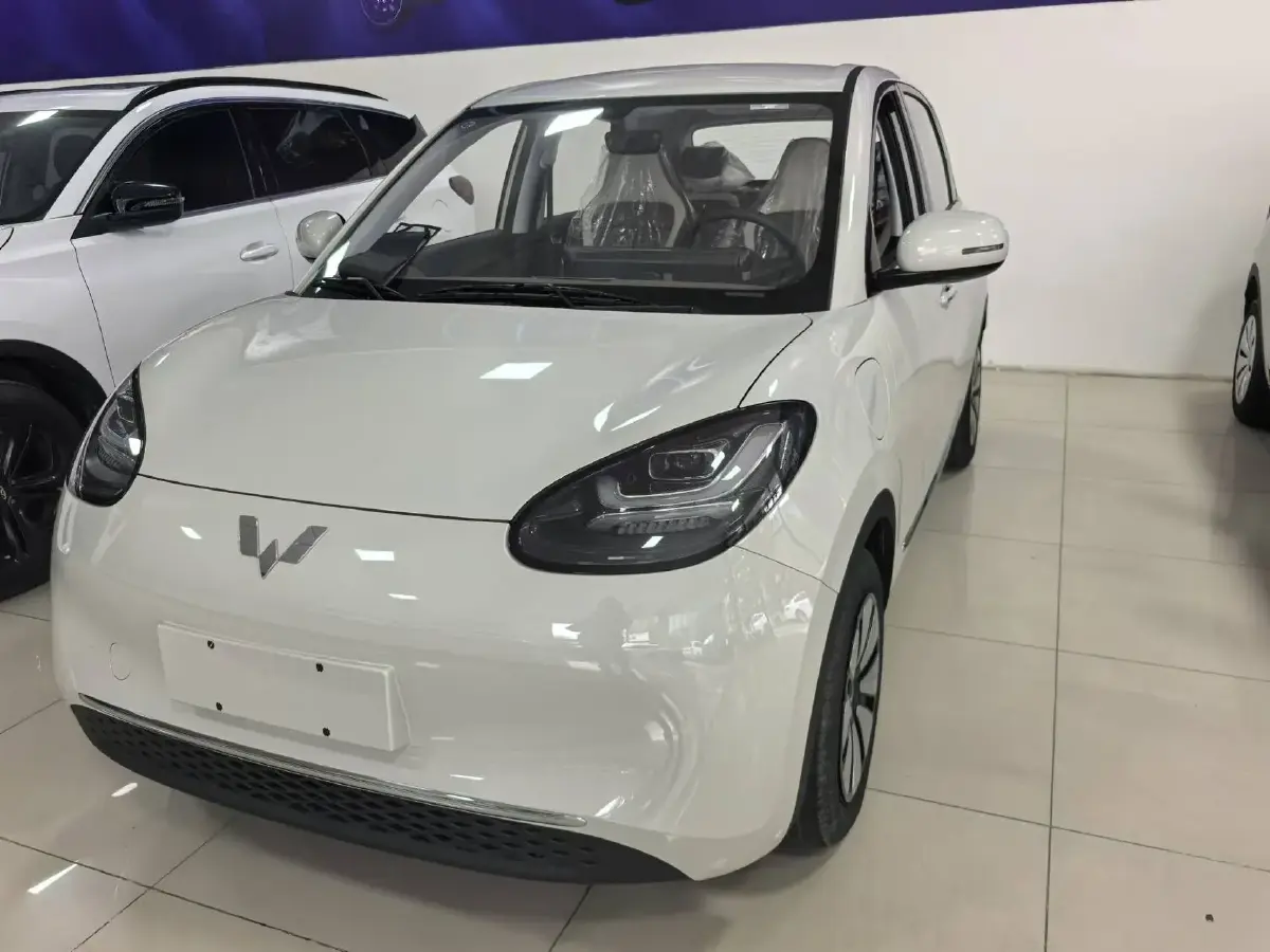 2024 WuLing BinGuo BEV 31.9KWH