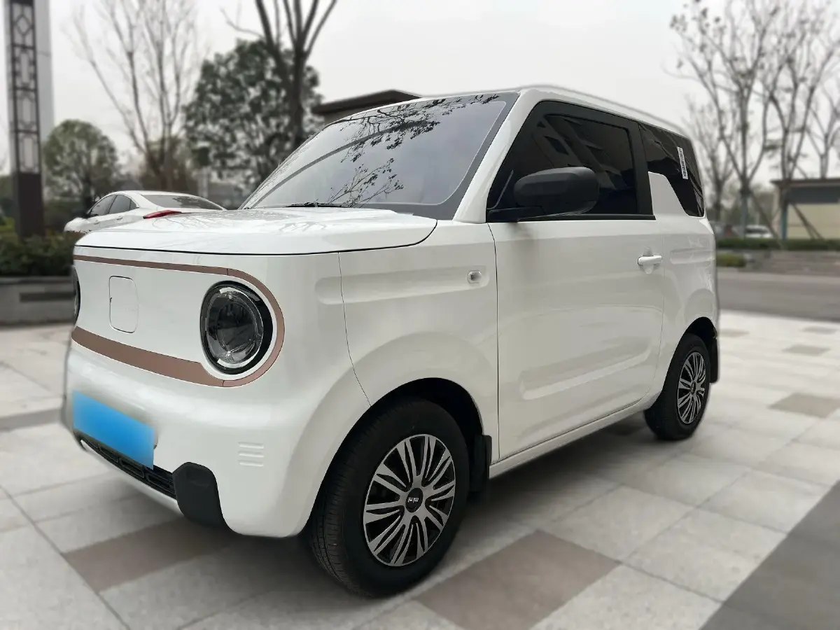 2024 Geely Panda BEV 17.03KWH