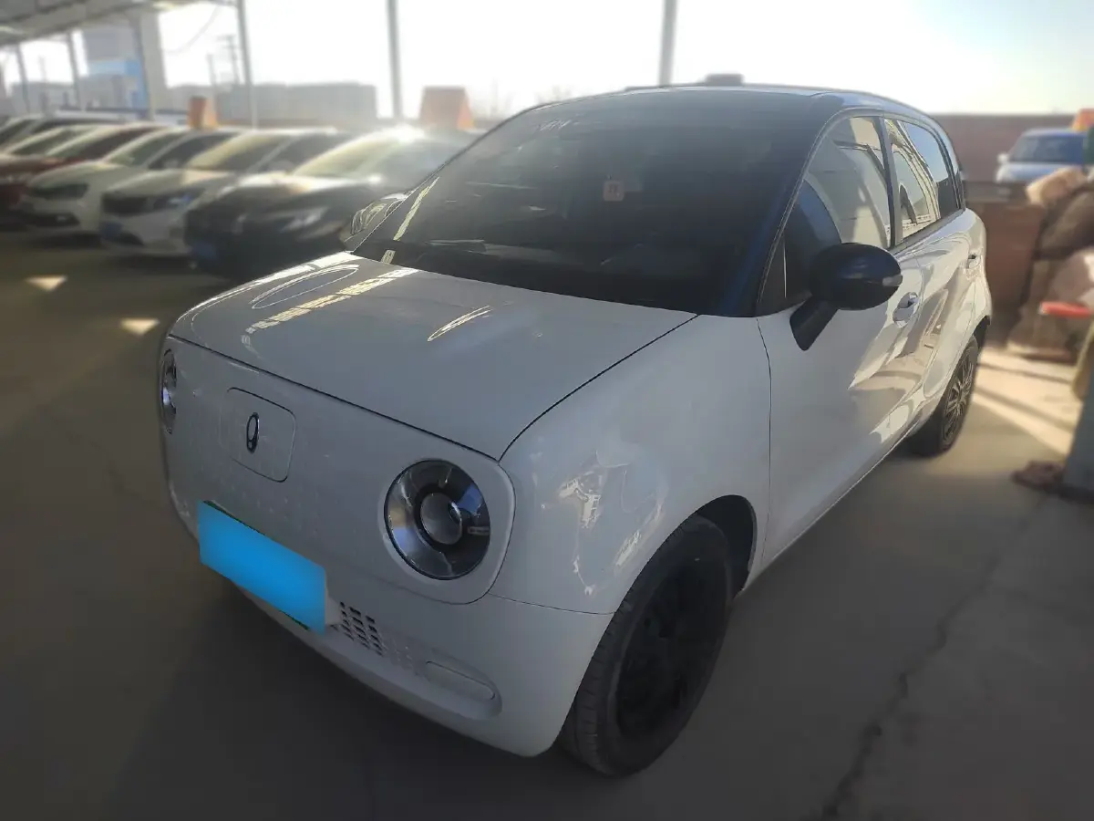 2022 Ora BlackCat BEV 28.5KWH