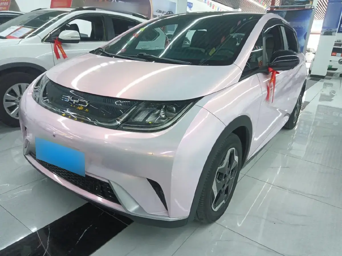 2021 BYD Dolphin BEV 44.9KWH