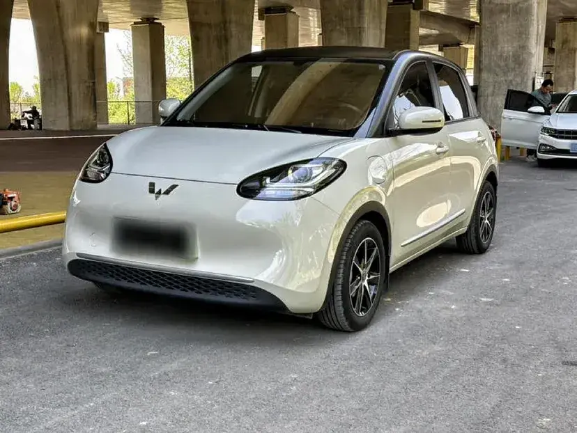 2023 WuLing BinGuo BEV 31.9KWH