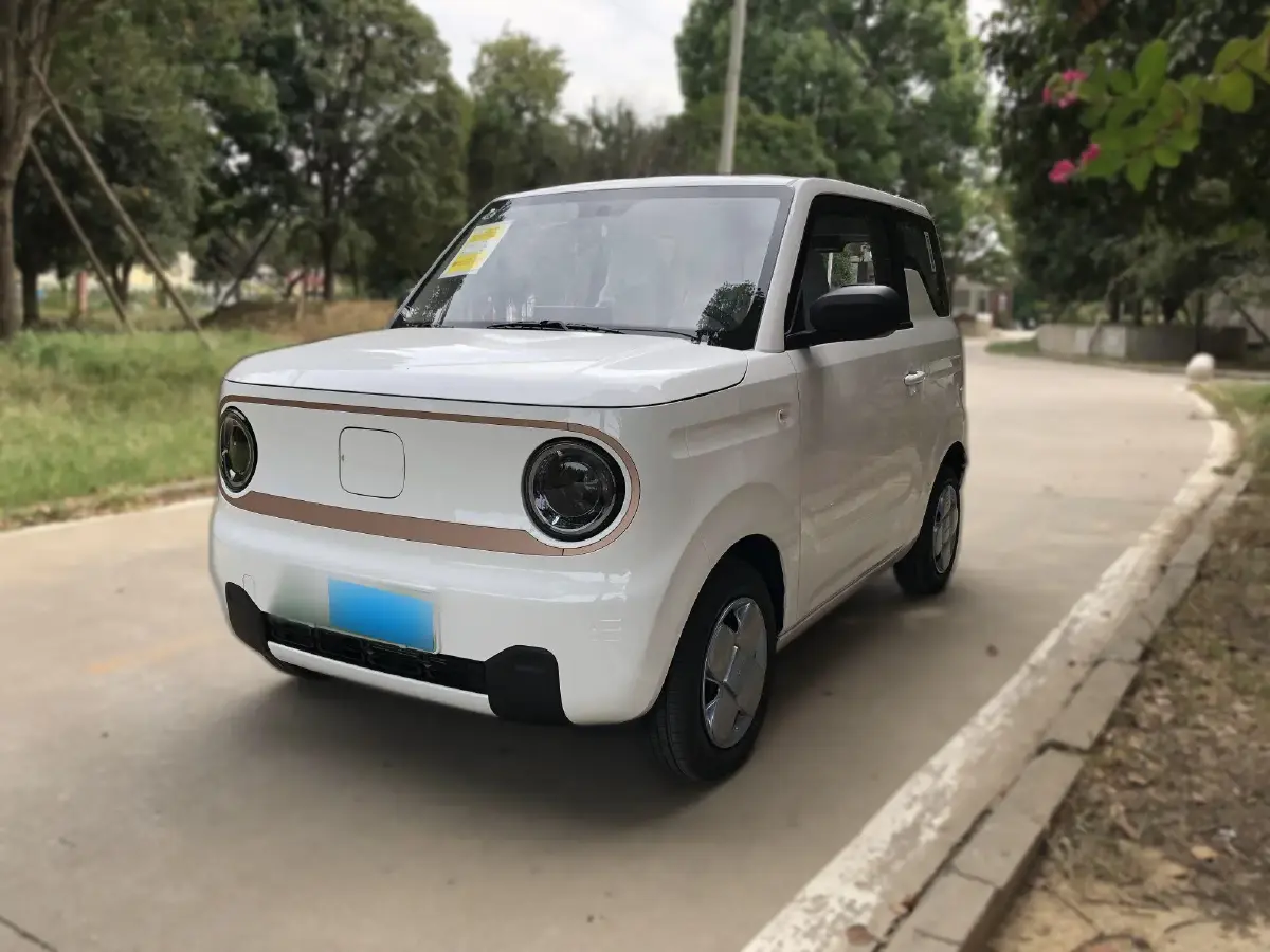 2024 Geely Panda BEV 17.03KWH