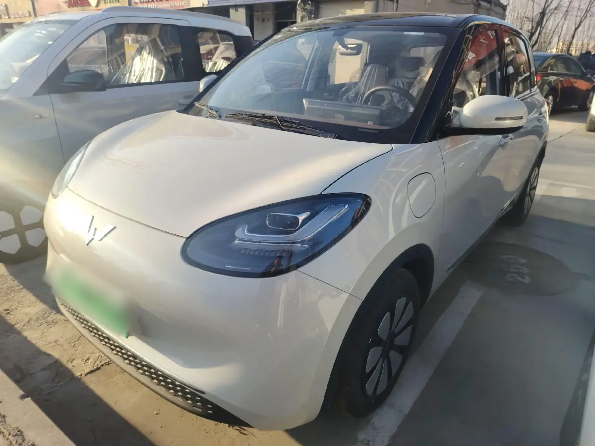 2024 WuLing BinGuo BEV 31.9KWH