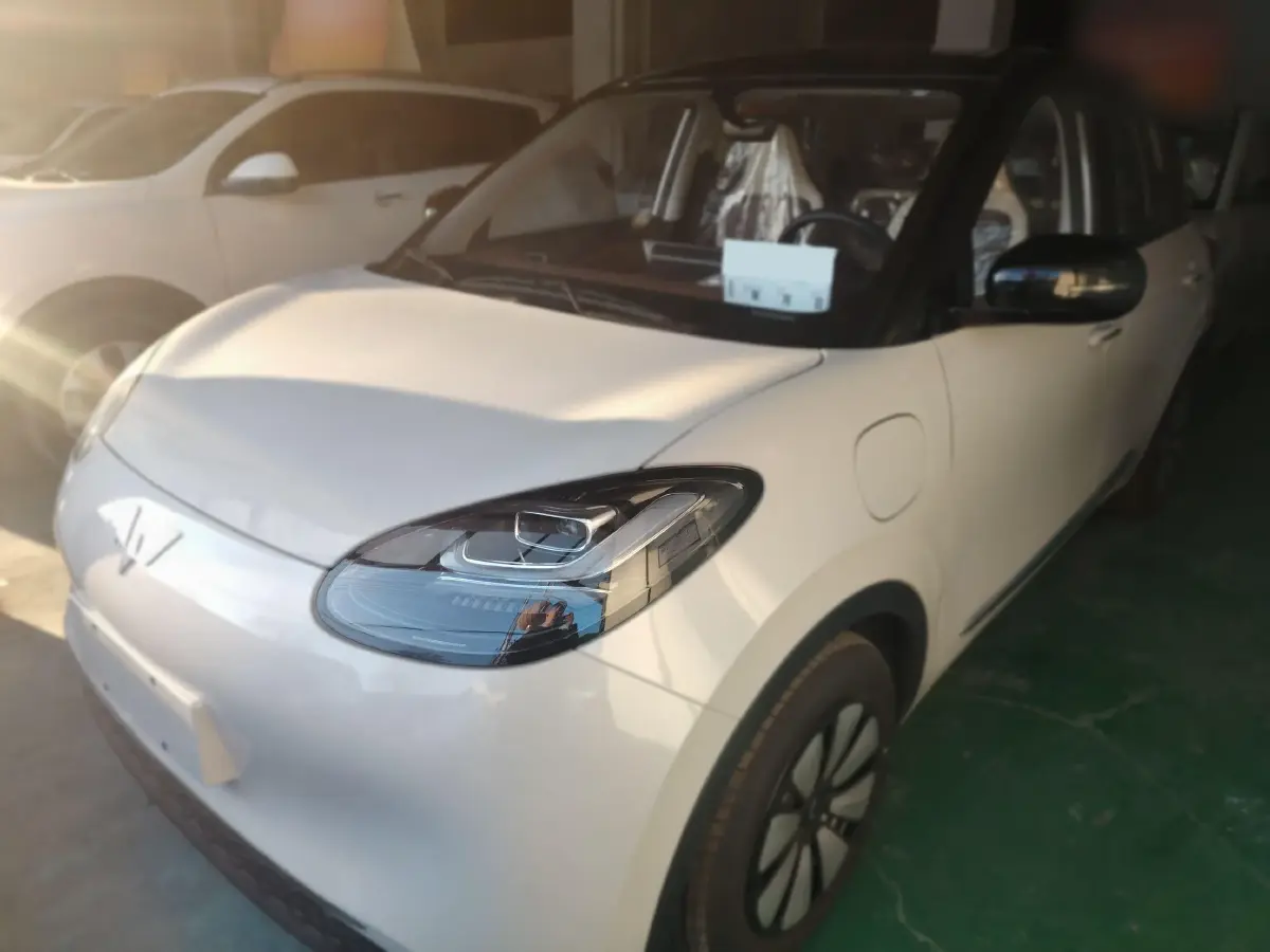 2024 WuLing BinGuo BEV 31.9KWH