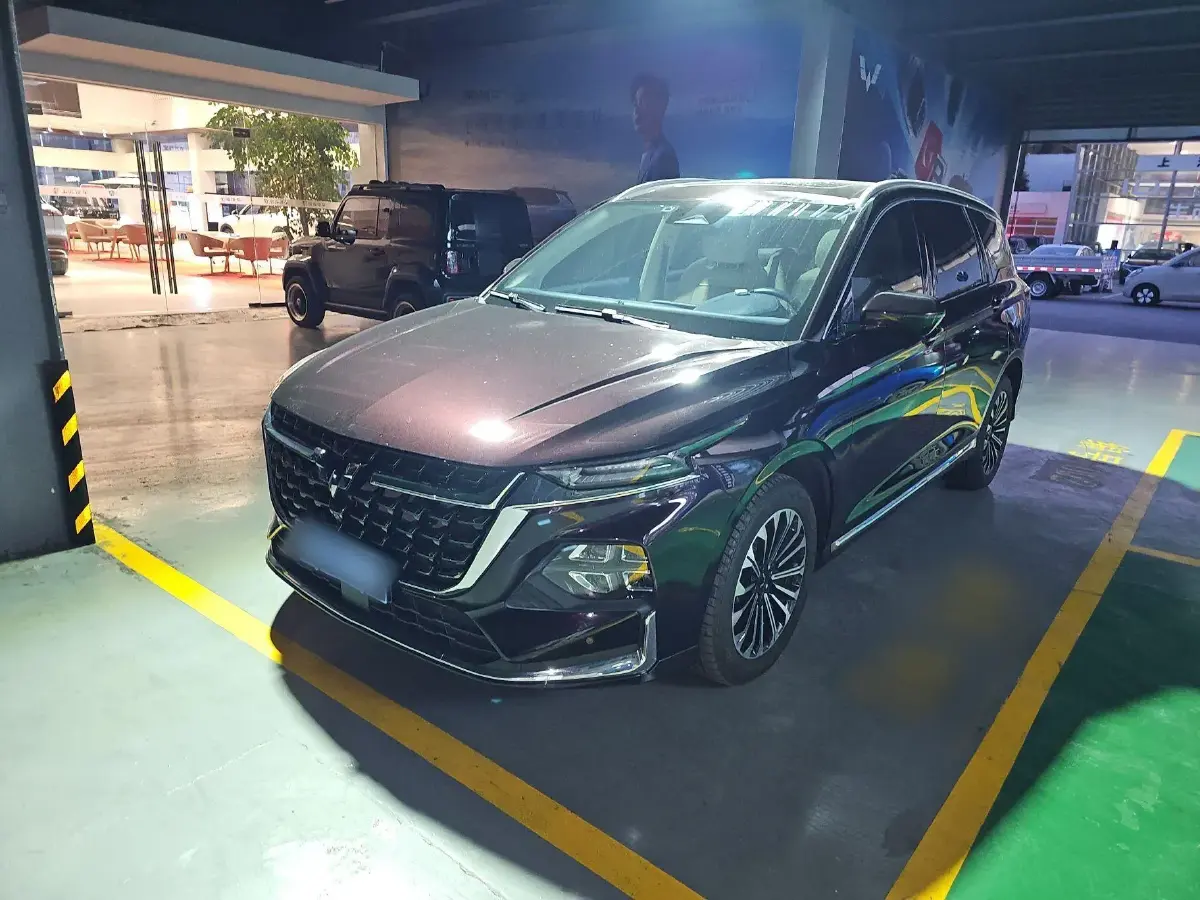 2023 WuLing KaiJie 2.0L 136HP L4 1DHT Hybrid