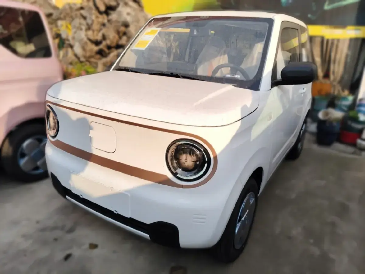 2024 Geely Panda BEV 17.03KWH