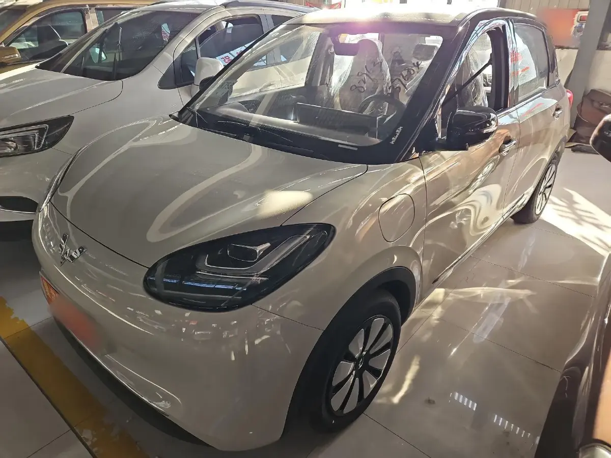 2024 WuLing BinGuo BEV 31.9KWH