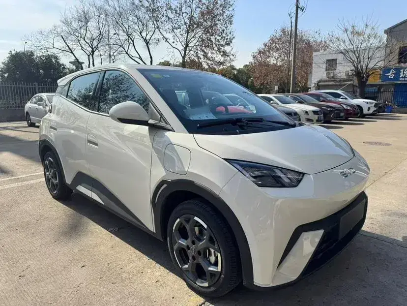2025 BYD Seagull BEV 30.08KWH