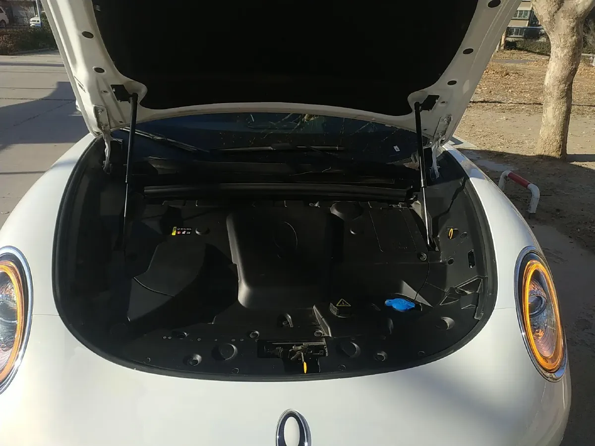 2022 Ora LightningCat BEV 64.31KWH,autocango,china used car exporter,china ev exporter,chinese used car exporter,chinese used ev exporter