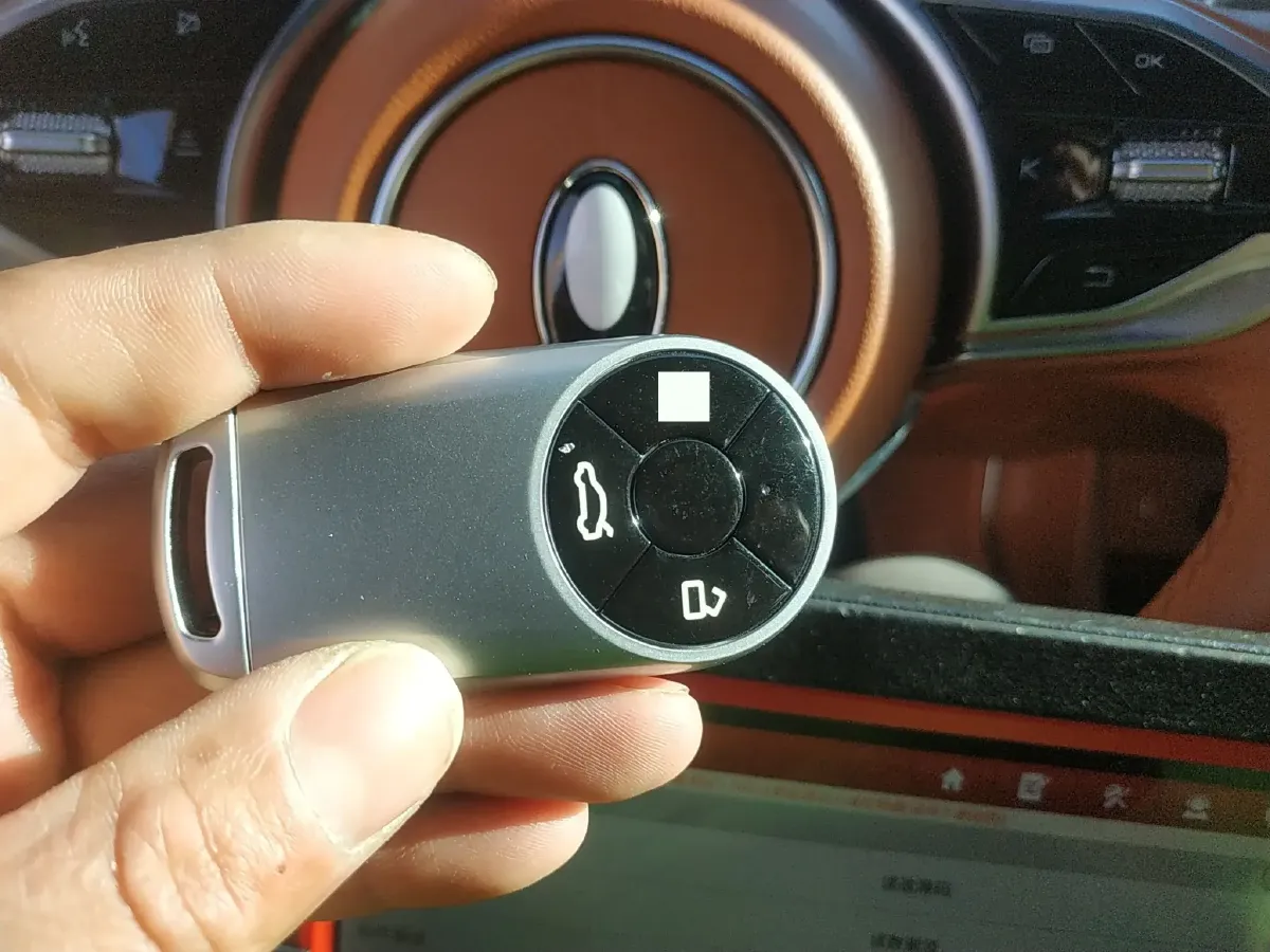 2022 Ora LightningCat BEV 64.31KWH,autocango,china used car exporter,china ev exporter,chinese used car exporter,chinese used ev exporter