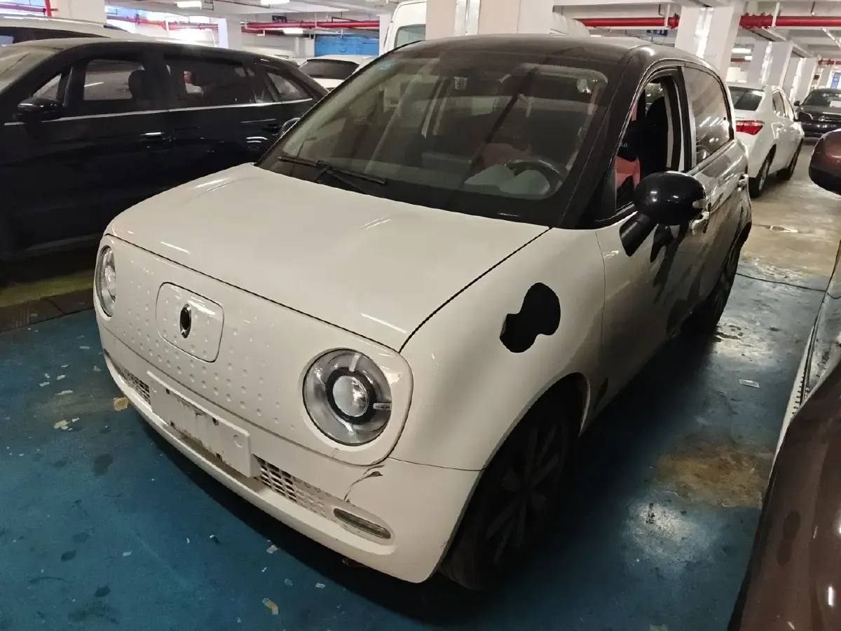 2021 Ora BlackCat BEV 33KWH