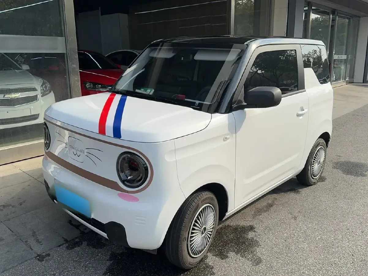 2024 Geely Panda BEV 17.03KWH
