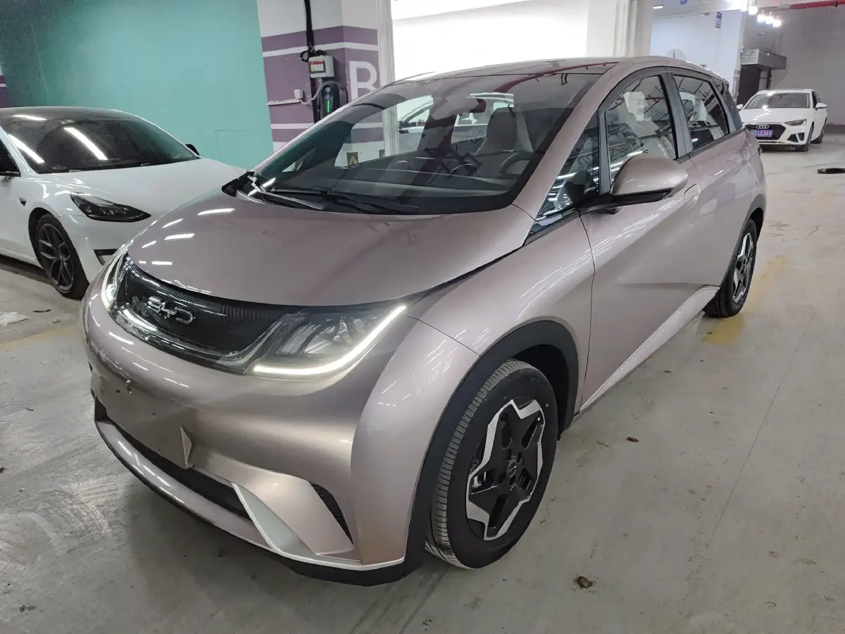 2021 BYD Dolphin BEV 44.9KWH