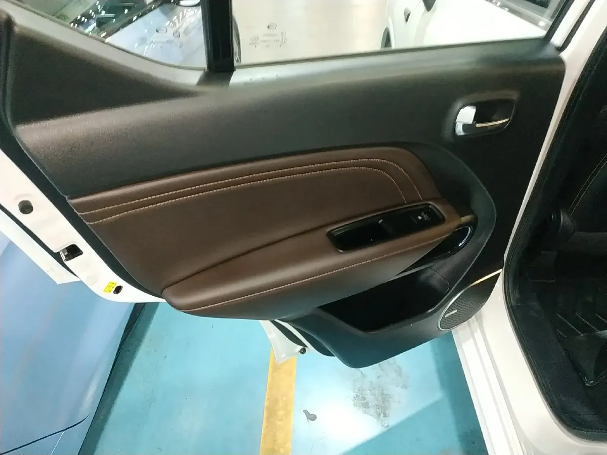 2020 GAC QiZhi EV BEV 54.75KWH,autocango,china used car exporter,china ev exporter,chinese used car exporter,chinese used ev exporter