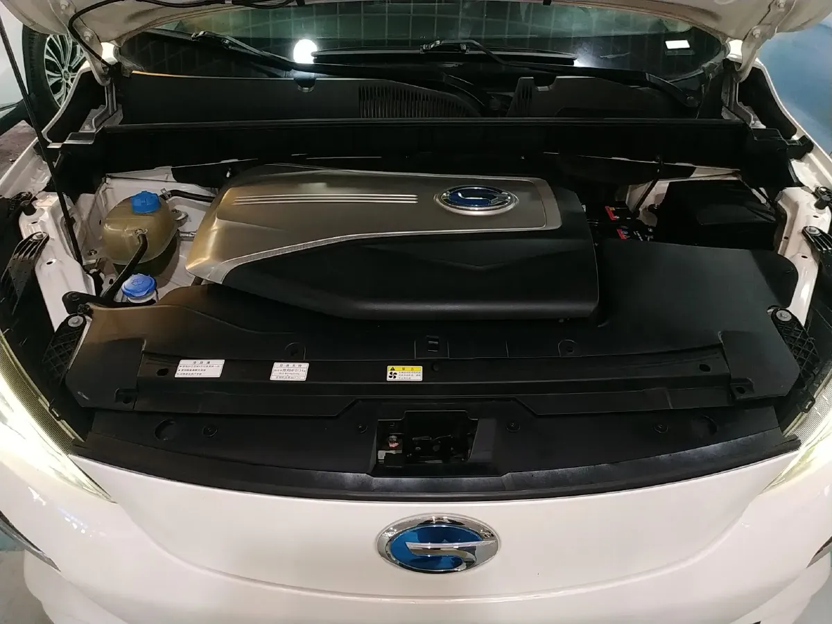 2020 GAC QiZhi EV BEV 54.75KWH,autocango,china used car exporter,china ev exporter,chinese used car exporter,chinese used ev exporter