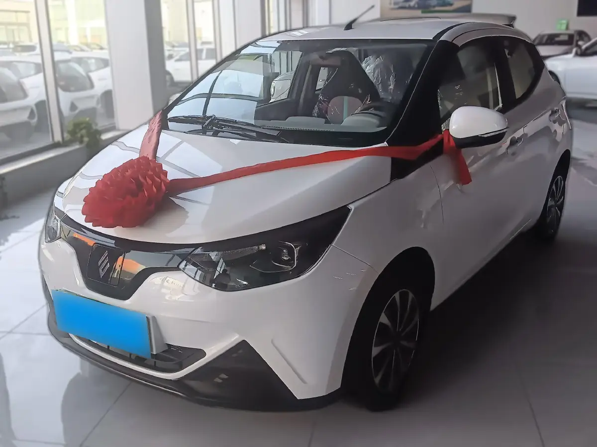 2024 JMEV Little Kylin BEV 15.86KWH