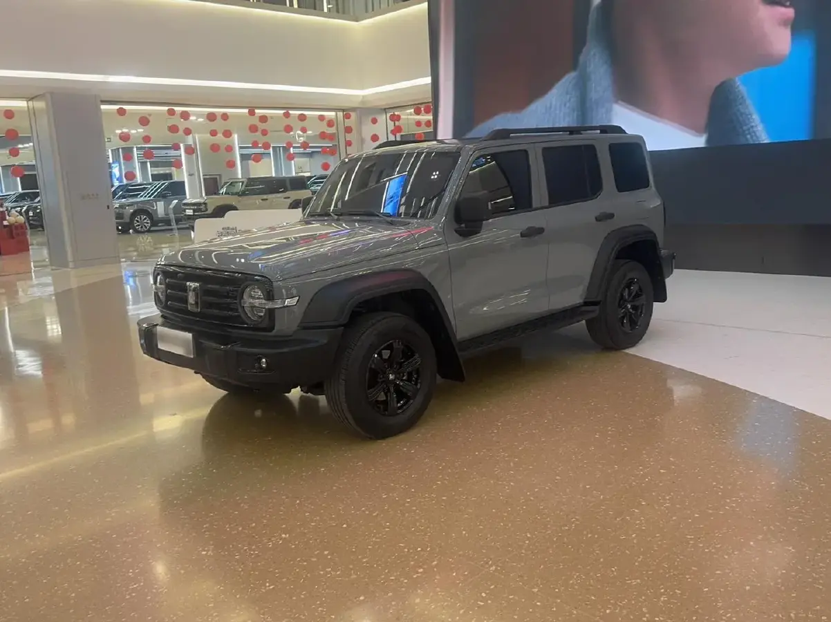 2024 Tank 300 2.0T 227HP L4 8AT