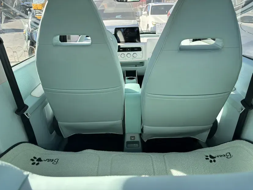 2024 ZD Rainbow BEV 17.18KWH,autocango,china used car exporter,china ev exporter,chinese used car exporter,chinese used ev exporter