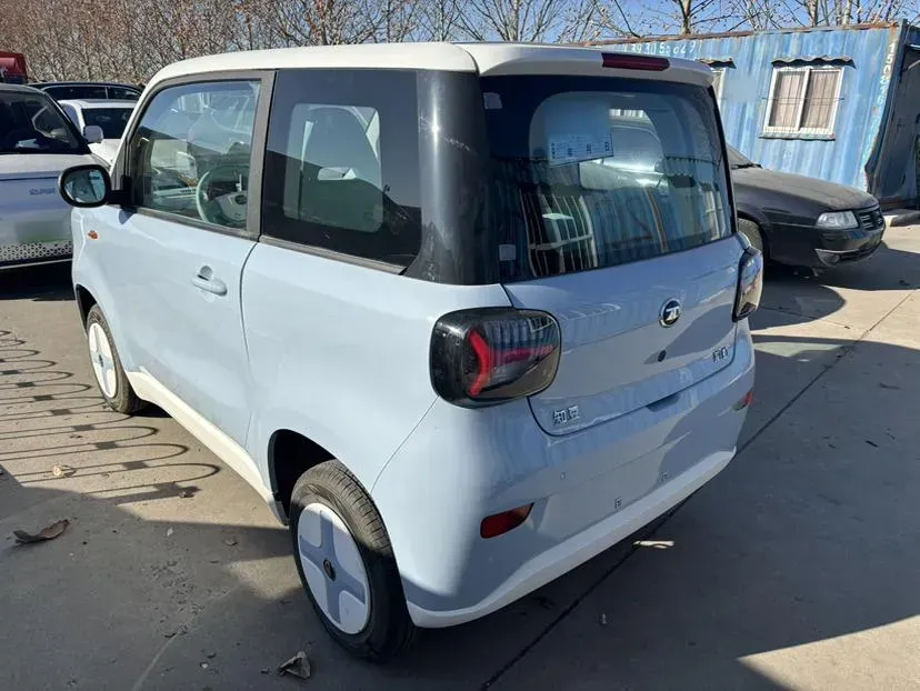 2024 ZD Rainbow BEV 17.18KWH,autocango,china used car exporter,china ev exporter,chinese used car exporter,chinese used ev exporter