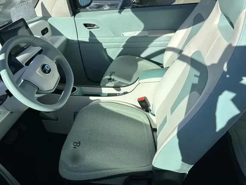 2024 ZD Rainbow BEV 17.18KWH,autocango,china used car exporter,china ev exporter,chinese used car exporter,chinese used ev exporter