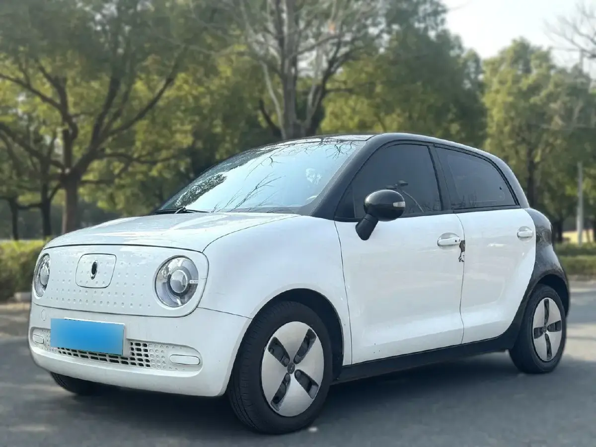 2021 Ora BlackCat BEV 30.3KWH