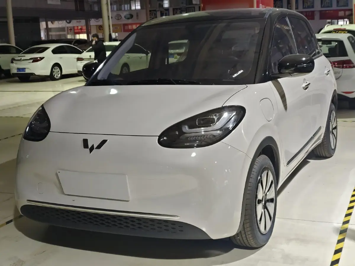 2024 WuLing BinGuo BEV 31.9KWH