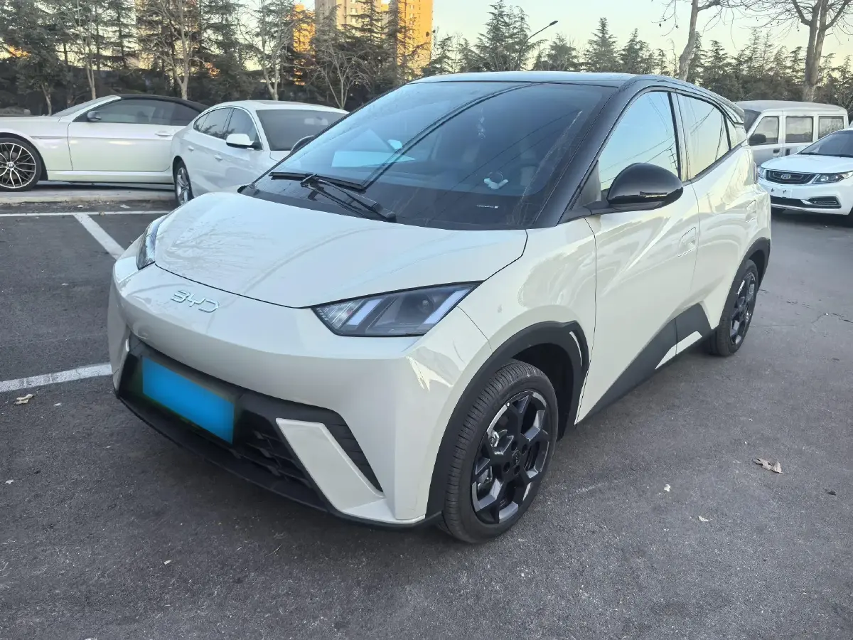 2025 BYD Seagull BEV 30.08KWH