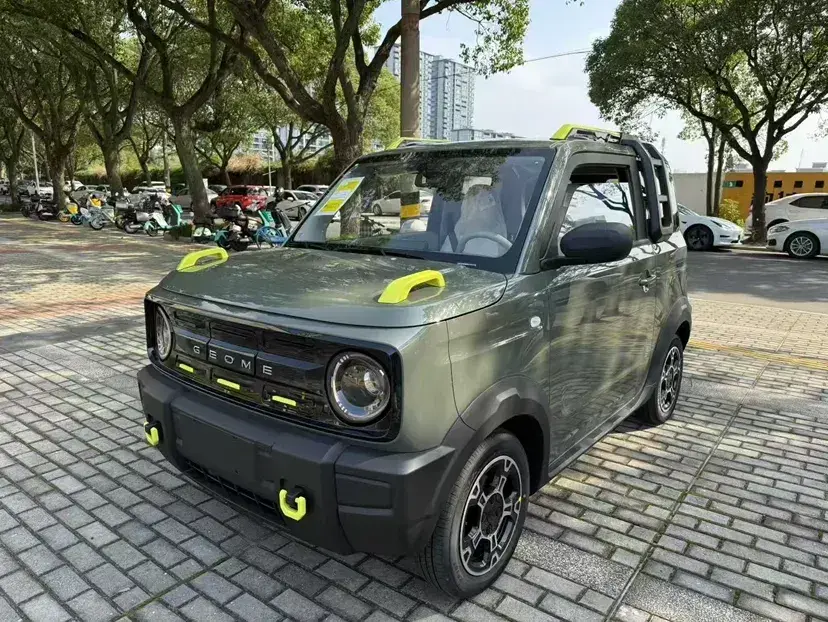 2024 Geely Panda BEV 17.03KWH