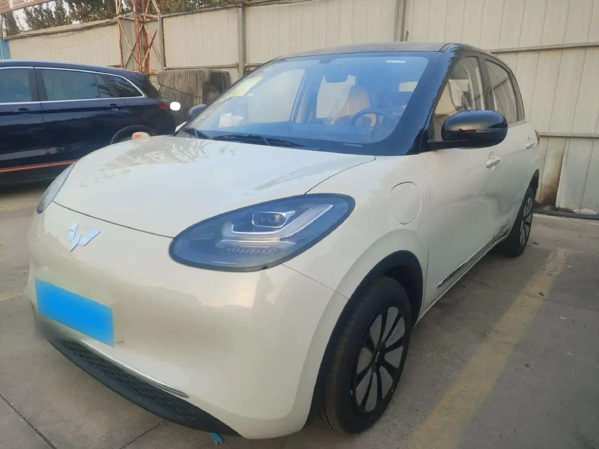 2024 WuLing BinGuo BEV 31.9KWH