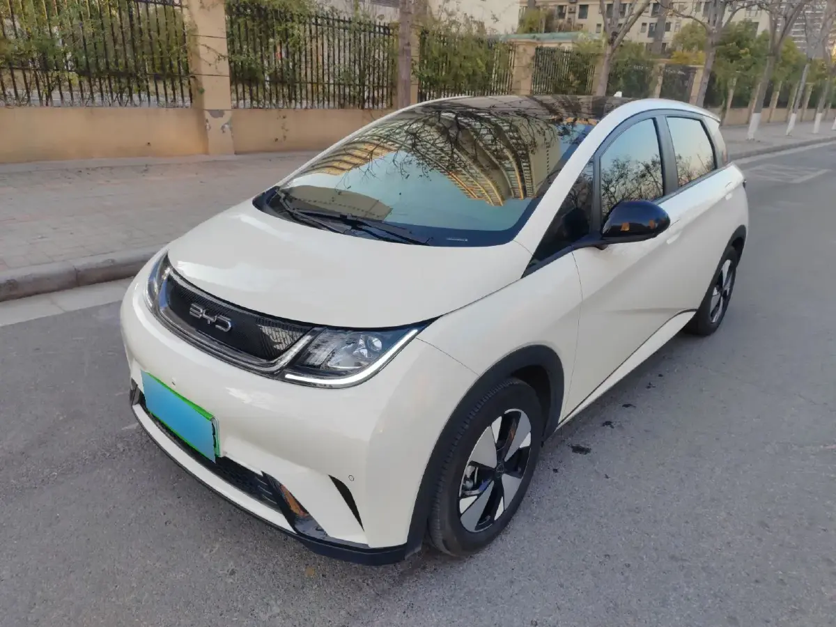 2023 BYD Dolphin BEV 44.928KWH