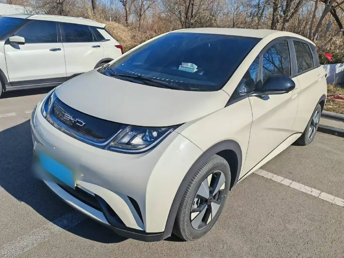 2023 BYD Dolphin BEV 44.928KWH