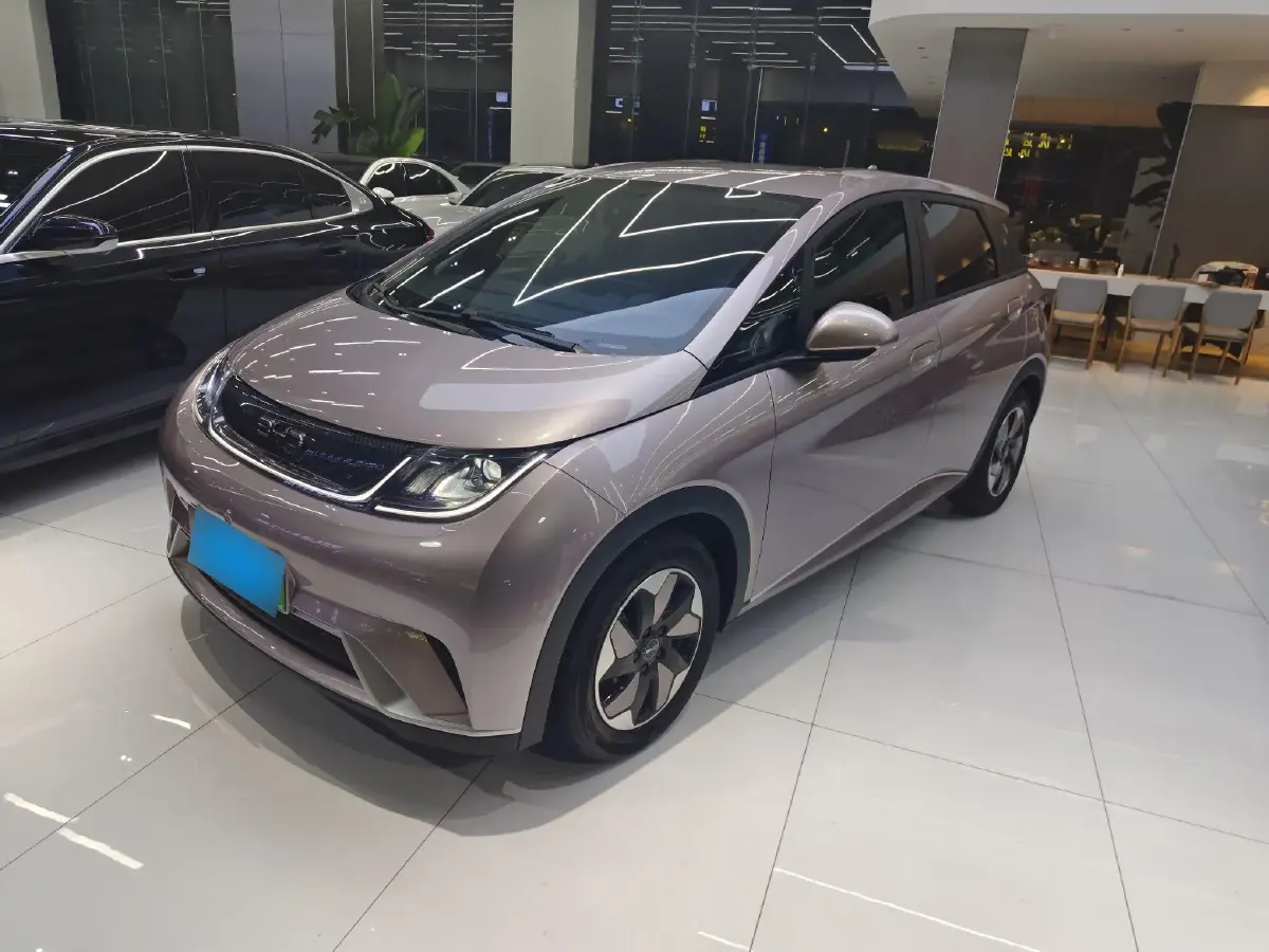 2024 BYD Dolphin BEV 44.928KWH