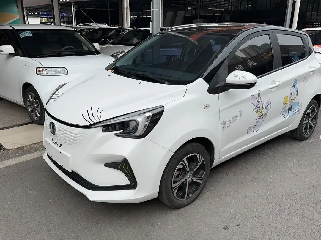 2022 ChangAn BenBen E-Star BEV 31.95KWH