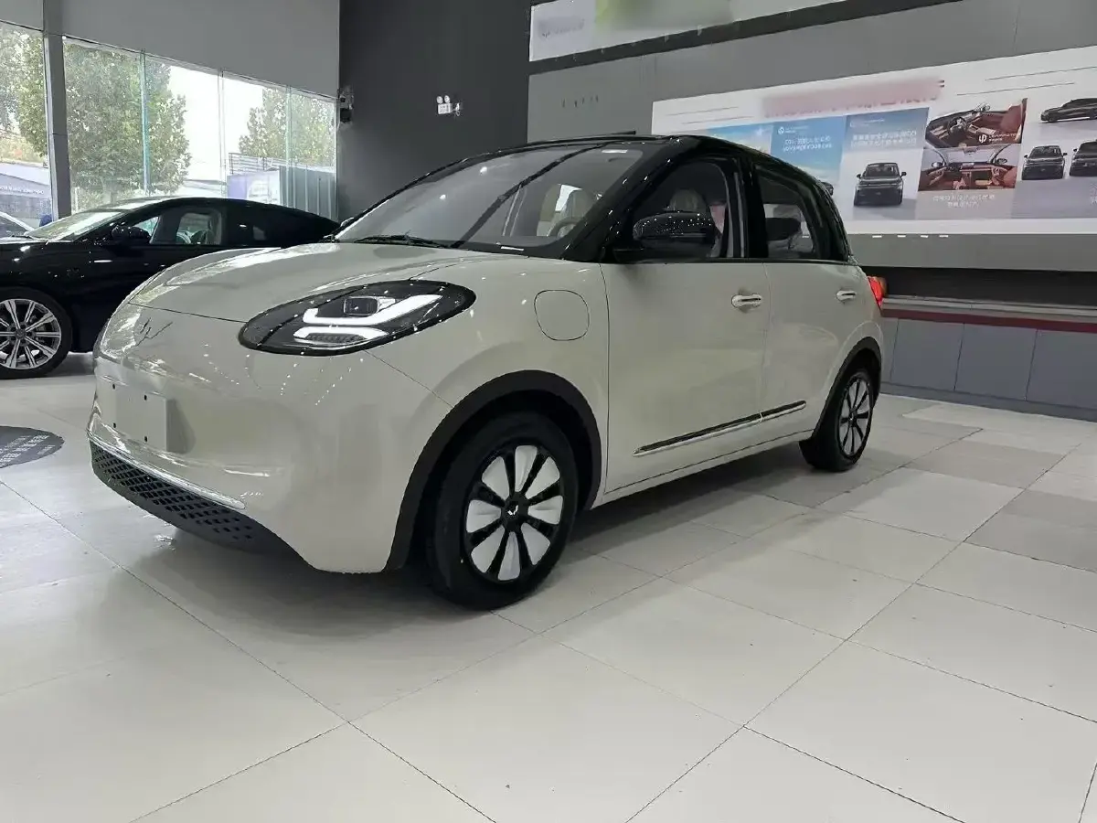 2023 WuLing BinGuo BEV 37.9KWH