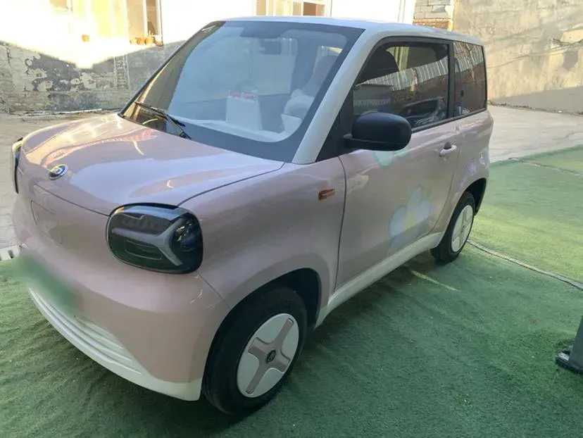 2024 ZD Rainbow BEV 17.18KWH,autocango,china used car exporter,china ev exporter,chinese used car exporter,chinese used ev exporter